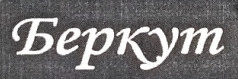 Беркут